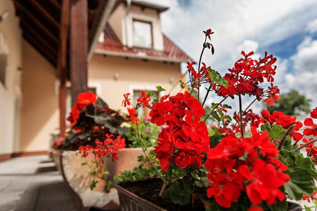 Hotel Vera Sulechów Exteriér fotografie